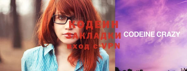 индика Верея