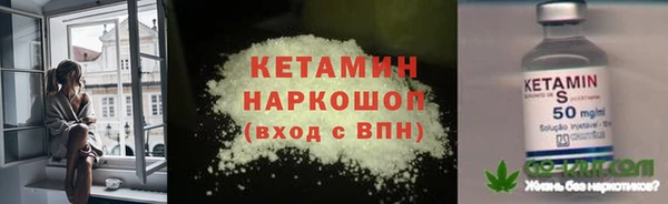 индика Верея