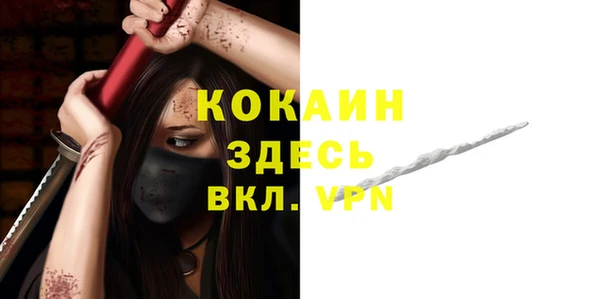 индика Верея
