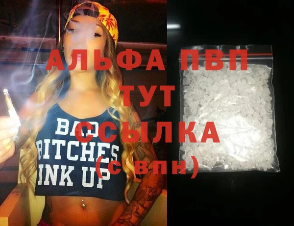 дживик Верхний Тагил
