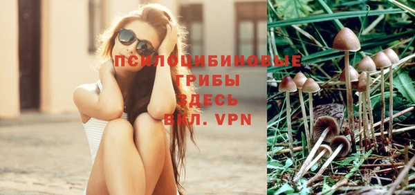 индика Верея