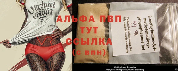 индика Верея