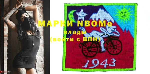 дживик Верхний Тагил