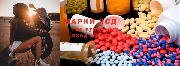 индика Верея