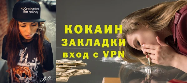 индика Верея
