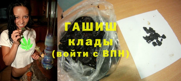 индика Верея
